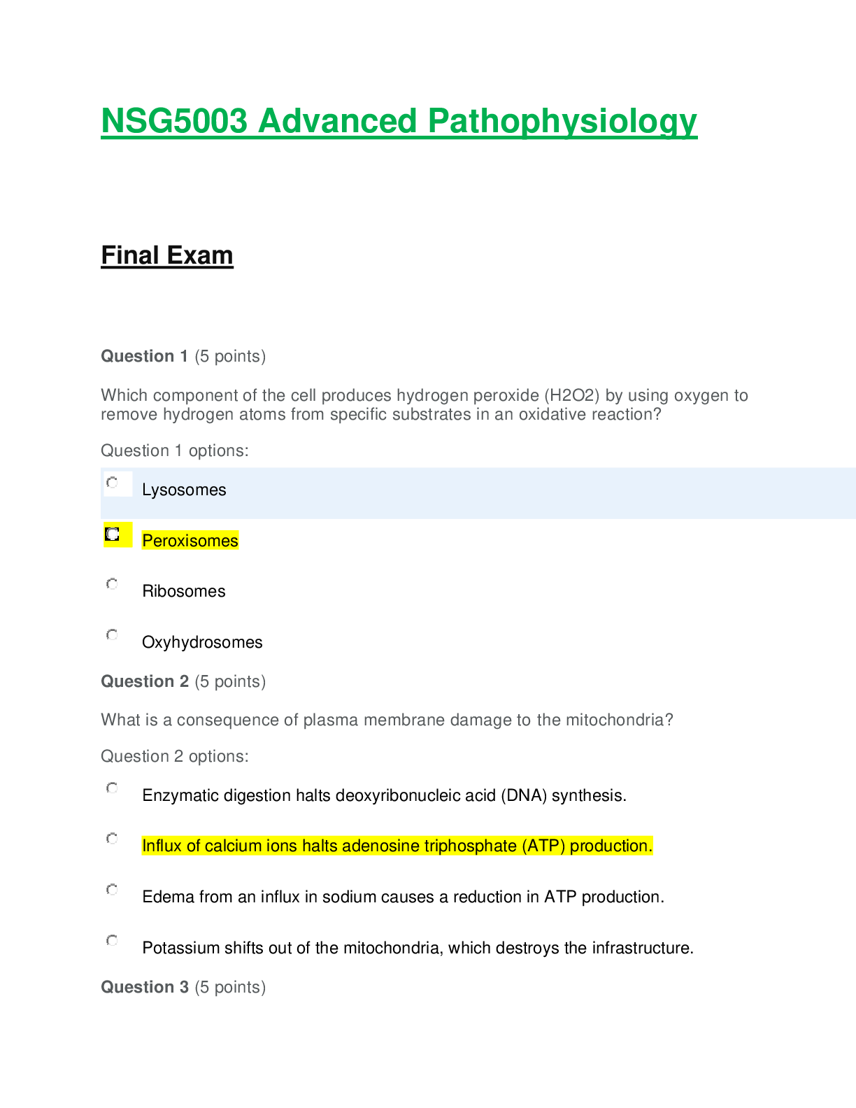 Preview image of NSG 5003 FINAL EXAM.LATEST UPDATE document